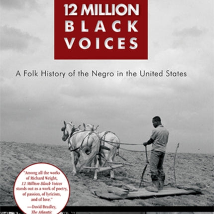 12 Million Black Voices