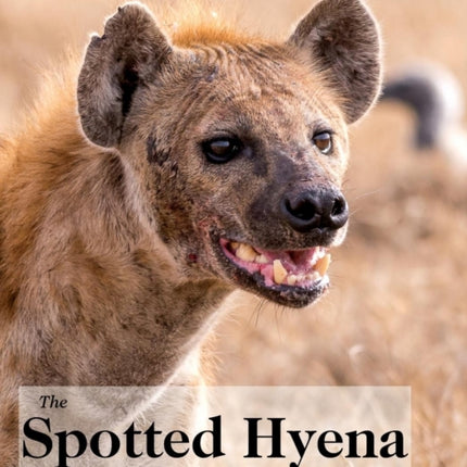 The Spotted Hyena: A Study of Predation and Social Behavior