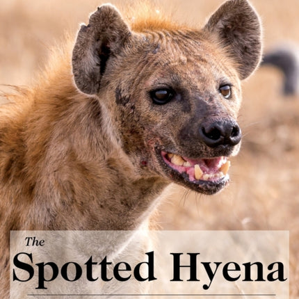 The Spotted Hyena: A Study of Predation and Social Behavior