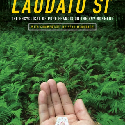 On Care for Our Common Home, Laudato Si': The