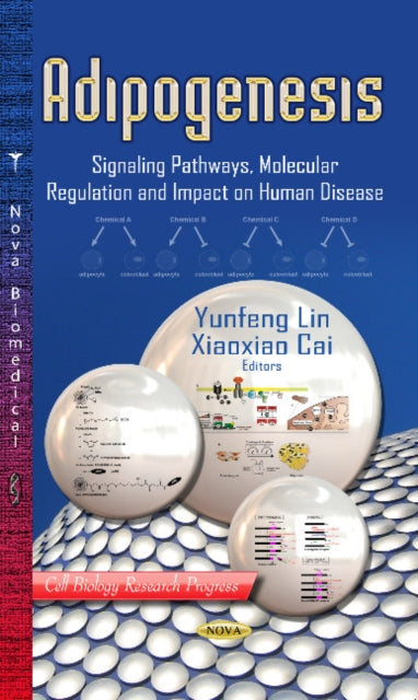 Adipogenesis: Signaling Pathways, Molecular Regulation & Impact on Human Disease