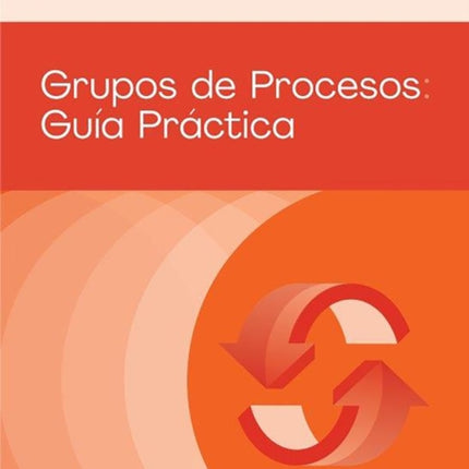 Process Groups (Spanish Edition): A Practice Guide