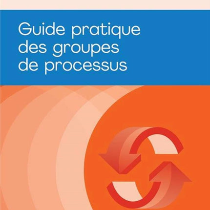 Process Groups (French Edition): A Practice Guide