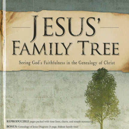 Jesus' Family Tree: Seeing God's Faithfulness in the Genealogy of Christ