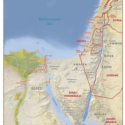 Relief Map of the Holy Land: Then and Now Wall Chart