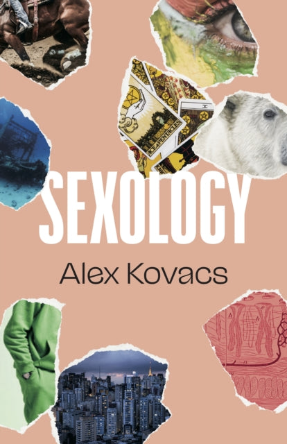 Sexology