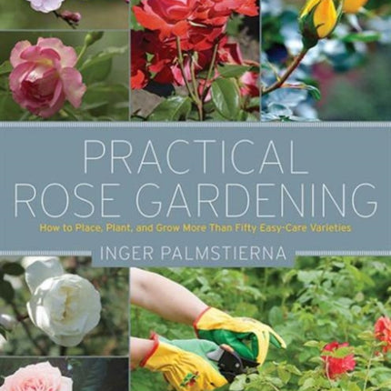 Practical Rose Gardening: How to Place, Plant, and Grow More Than Fifty Easy-Care Varieties