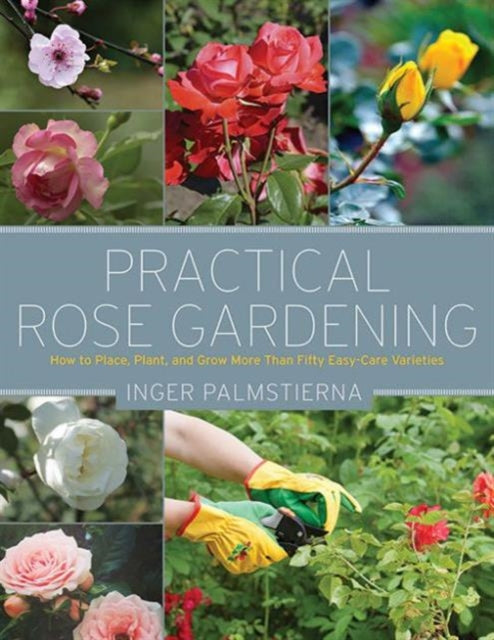 Practical Rose Gardening: How to Place, Plant, and Grow More Than Fifty Easy-Care Varieties