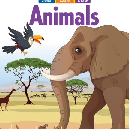 Early Bird: Animals, Age 4 - 5 Workbook
