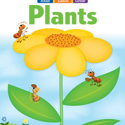 Early Bird: Plants, Age 4 - 5 Workbook