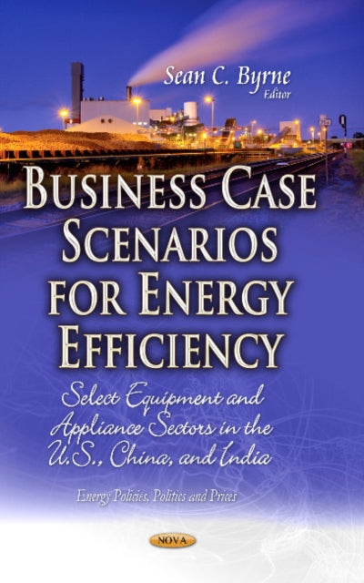 Business Case Scenarios for Energy Efficiency:
