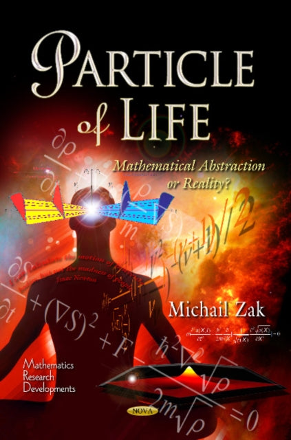 Particle of Life: Mathematical Abstraction or Reality?