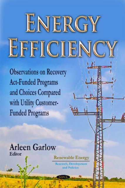 Energy Efficiency: Observations on Recovery