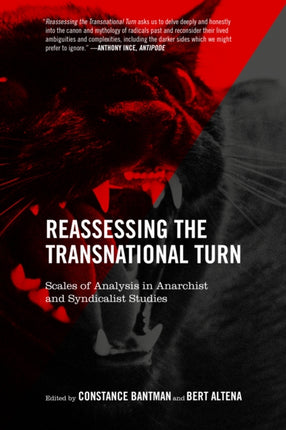 Reassessing The Transnational Turn: Scales of