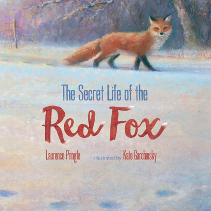 Secret Life of the Red Fox