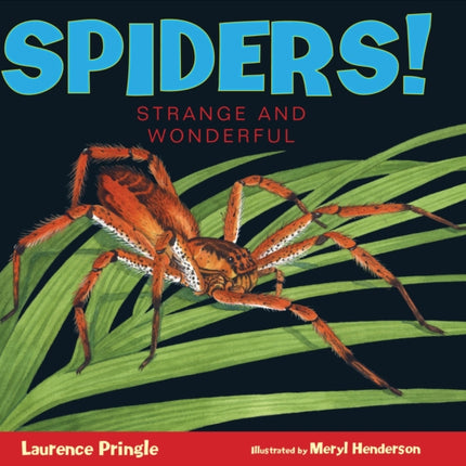 Spiders!: Strange and Wonderful