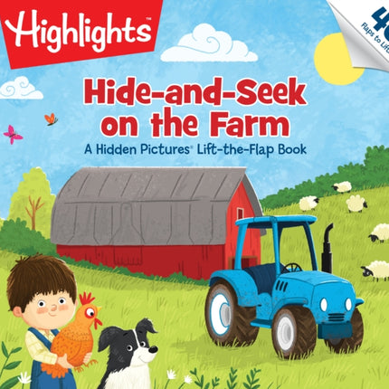 Hide-and-Seek on the Farm: A Hidden Pictures (R) Lift-the-Flap Book