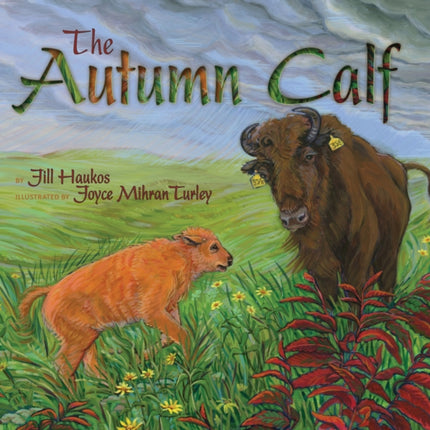 The Autumn Calf