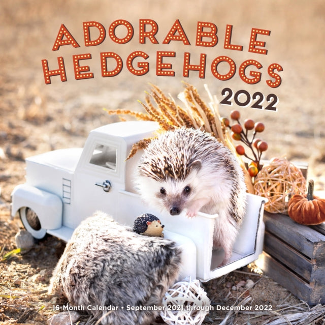 Adorable Hedgehogs 2022