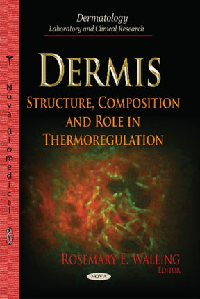 Dermis: Structure, Composition & Role in