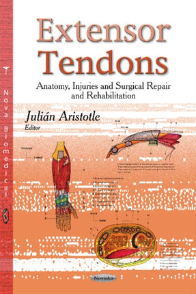 Extensor Tendons: Anatomy, Injuries & Surgical Repair & Rehabilitation