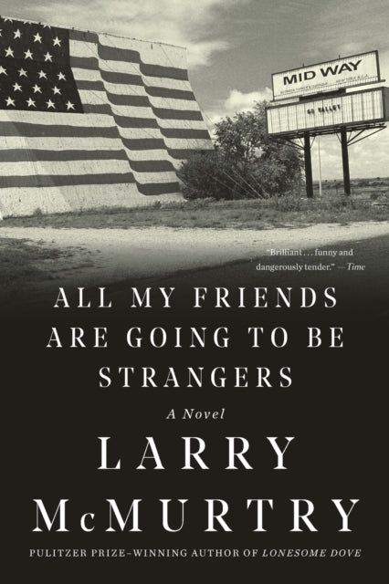 All My Friends Are Going to Be Strangers: A Novel