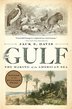 The Gulf: The Making of An American Sea