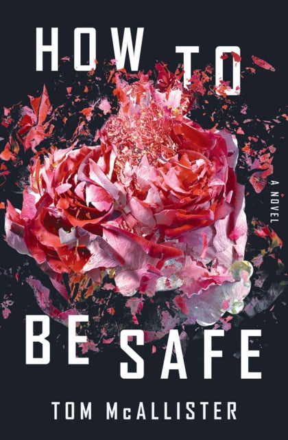 How to Be Safe: A Novel