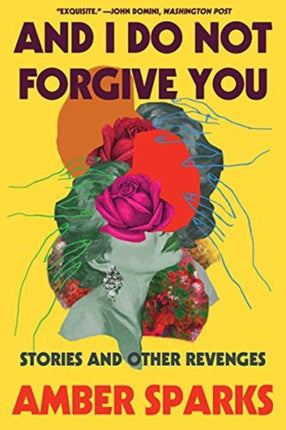 And I Do Not Forgive You: Stories and Other Revenges