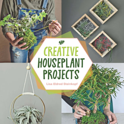 Creative Houseplant Projects