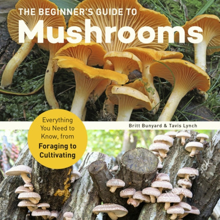 The Beginners Guide to Mushrooms Everything You Need to Know from Foraging to Cultivating