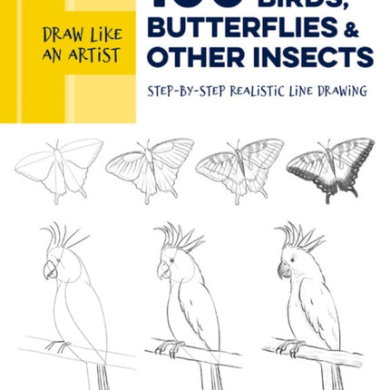 Draw Like an Artist: 100 Birds, Butterflies, and Other Insects: Step-by-Step Realistic Line Drawing - A Sourcebook for Aspiring Artists and Designers: Volume 5