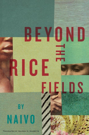 Beyond The Rice Fields