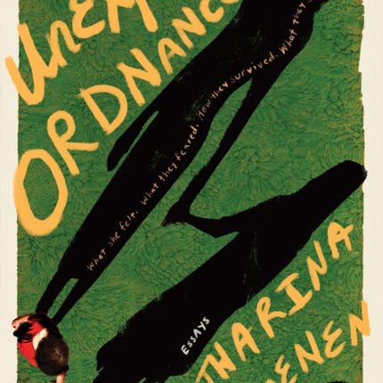 Unexploded Ordnance