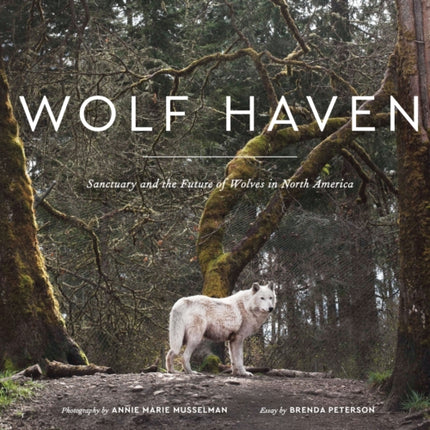 Wolf Haven: Sanctuary and the Future of Wolves in North America