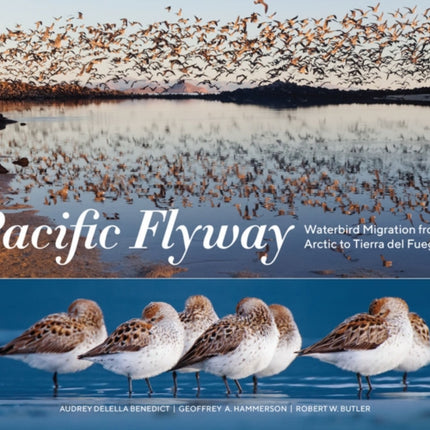 Pacific Flyway: Waterbird Migration from the Arctic to Tierra del Fuego