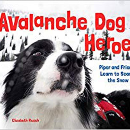 Avalanche Dog Heroes: Piper and Friends Learn to Search the Snow