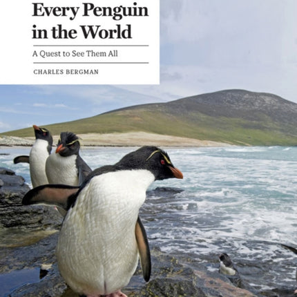 Every Penguin in the World: A Quest to See Them All