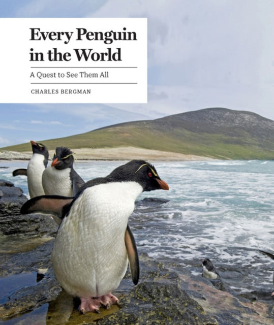 Every Penguin in the World: A Quest to See Them All