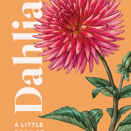 Dahlias: A Little Book of Flowers