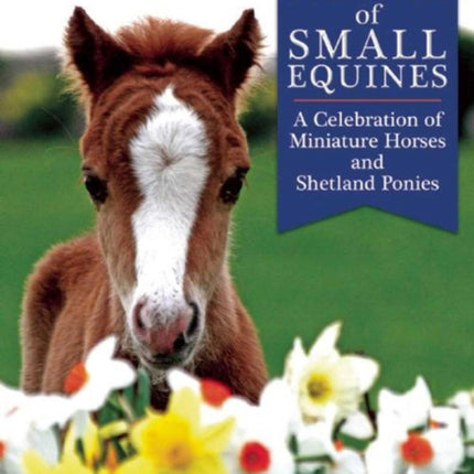 The Big Book of Small Equines