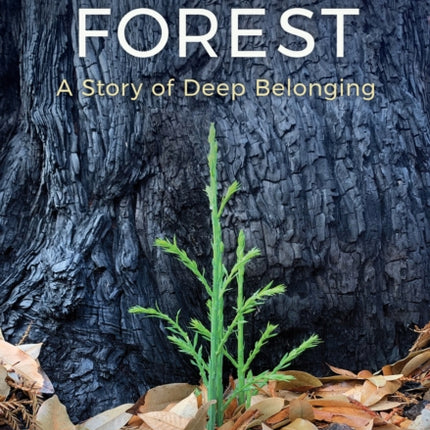 Becoming Forest: A Story of Deep Belonging