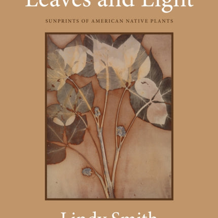 Leaves and Light