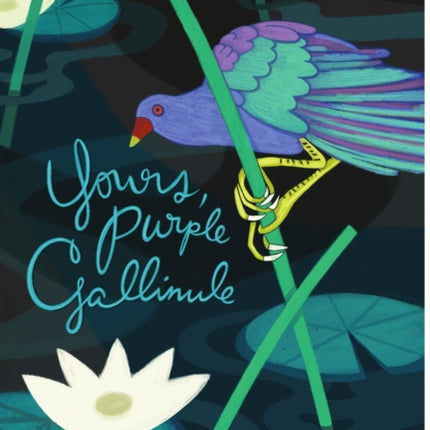 Yours, Purple Gallinule