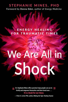 We are All in Shock: Energy Healing for Traumatic Times