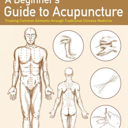 A Beginners Guide to Acupuncture