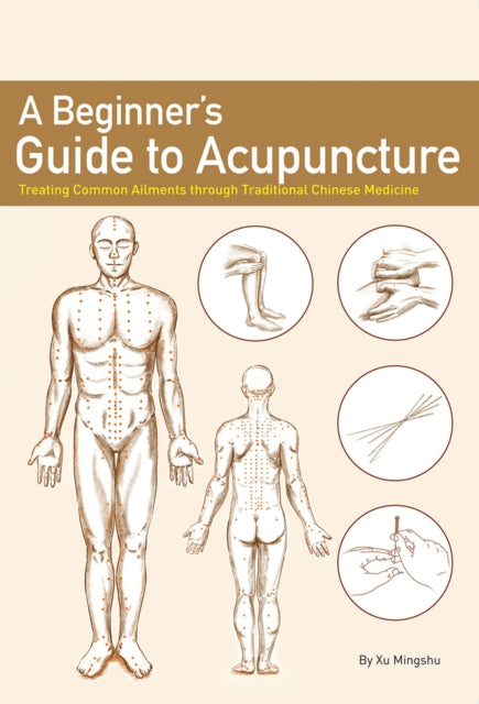 A Beginners Guide to Acupuncture