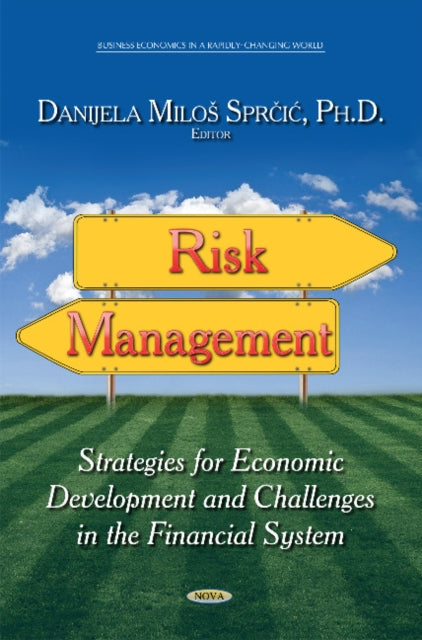 Risk Management: Strategies for Economic Development and Challenges in the Financial System