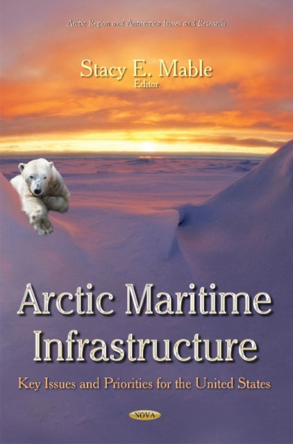 Arctic Maritime Infrastructure: Key Issues and
