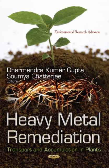 Heavy Metal Remediation: Transport and